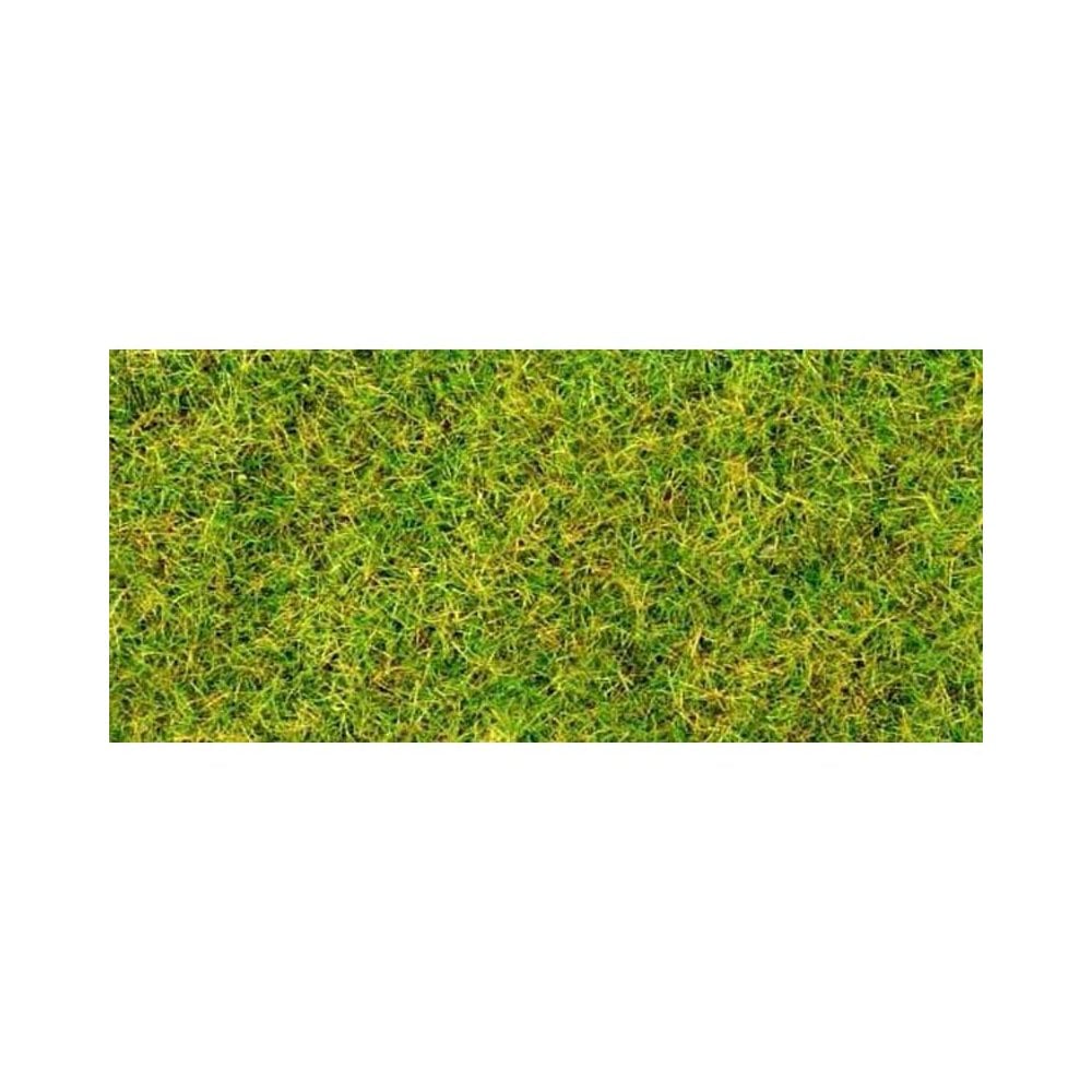 Static Grass/Flock - Spring Grass (30g) Gaugemaster GM170 Static Grass/Flock - Spring Grass (30g) Gaugemaster GM170
