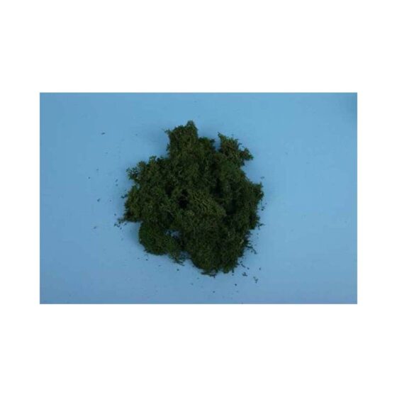 Lichen - Dark Green (80g) Gaugemaster GM165 Lichen - Dark Green (80g) Gaugemaster GM165