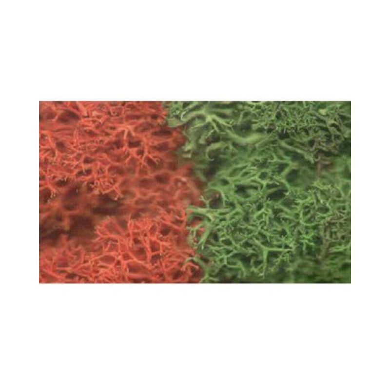 Javis Autumn Mix Lichen JAMLS