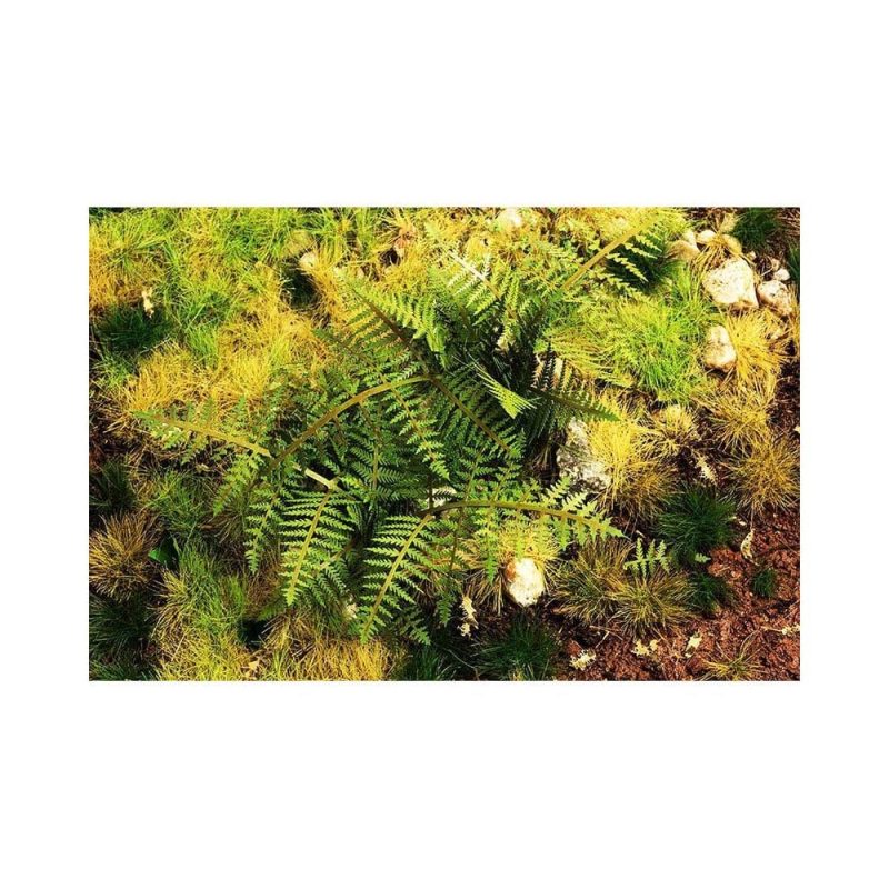 1/35 Bracken Fern Model Scene VG3-030 1/35 Bracken Fern Model Scene VG3-030