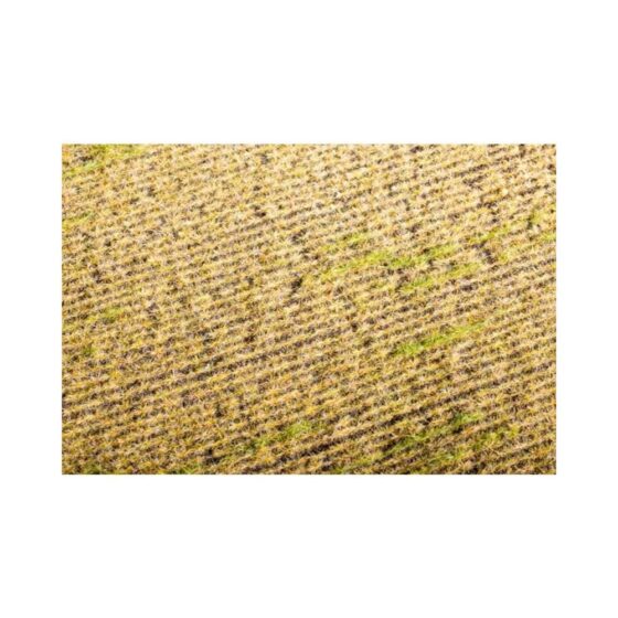Argo Line - Stubble Field Mat 18X28cm Model Scene F403 Argo Line - Stubble Field Mat 18X28cm Model Scene F403
