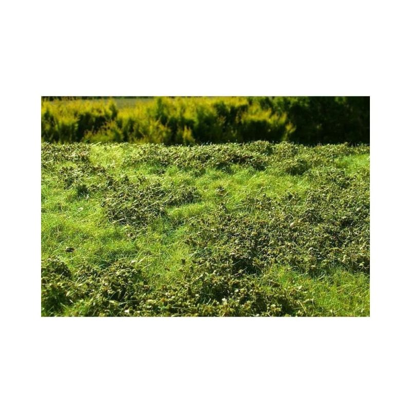 Grass Mat Premium - Low Bushes - Spring Mat 18X28cm Model Scene F501