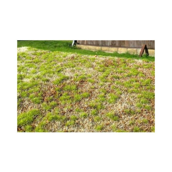 Grass Mat Premium - Steppe Spring Mat 18X28cm Model Scene F531 Grass Mat Premium - Steppe Spring Mat 18X28cm Model Scene F531