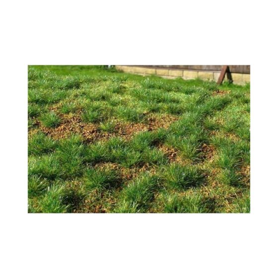 Grass Mat Premium - Steppe Green (Early Summer) Mat 18X28cm Model Scene F532 Grass Mat Premium - Steppe Green (Early Summer) Mat 18X28cm Model Scene F532
