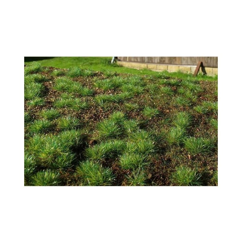 Forest Base - Dense Forest Mat 18X28cm Model Scene F600