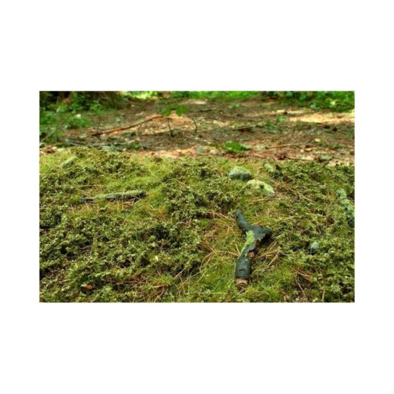 Forest Base - Spring Mat 18X28cm Model Scene F601 Forest Base - Spring Mat 18X28cm Model Scene F601