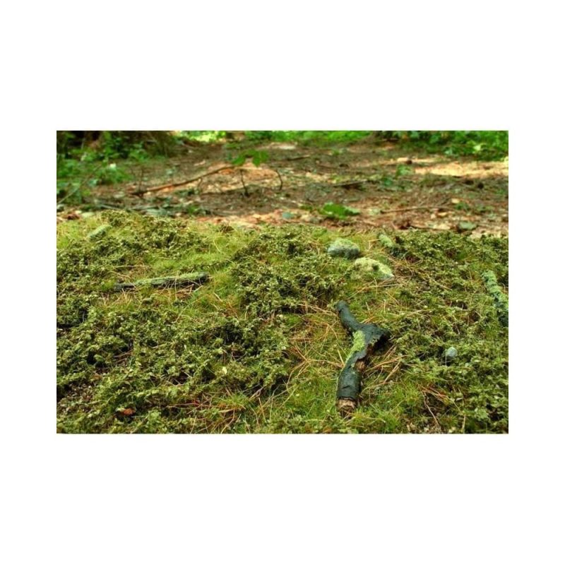 Forest Base - Spring Mat 18X28cm Model Scene F601