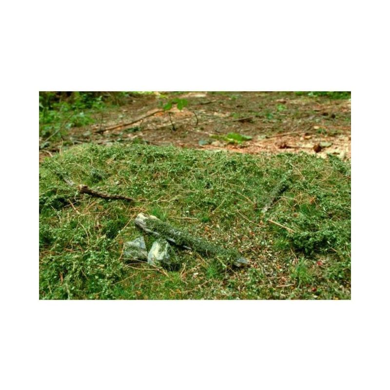 Forest Base - Early Summer Mat 18X28cm Model Scene F602