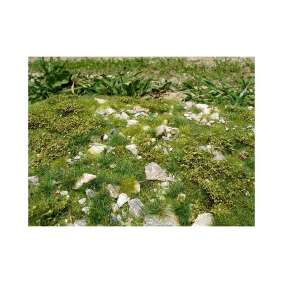 Grass Mat Calc Stones - Early Summer, Stonny 18X28cm Model Scene F722 Grass Mat Calc Stones - Early Summer, Stonny 18X28cm Model Scene F722