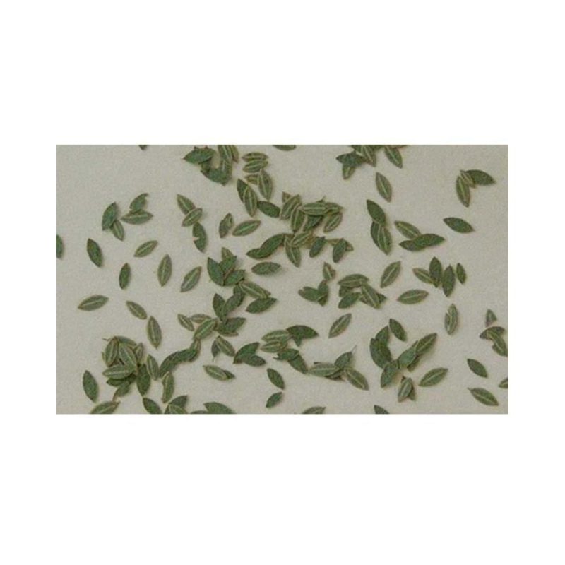 Universal Green (1pc) Model Scene L3-005 Universal Green (1pc) Model Scene L3-005