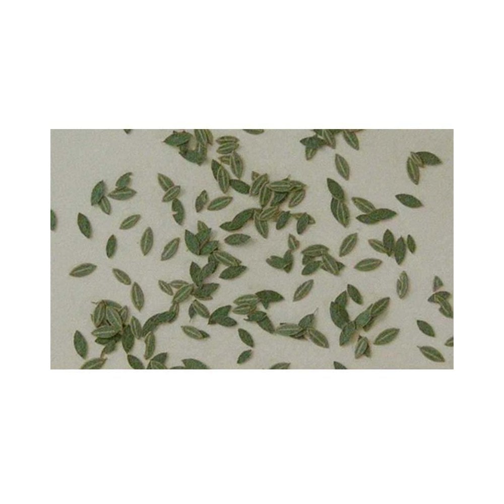 Universal Green (1pc) Model Scene L3-005 Universal Green (1pc) Model Scene L3-005