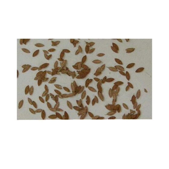 Universal Extra Colours Autumn (1pc) Model Scene L3-105 Universal Extra Colours Autumn (1pc) Model Scene L3-105