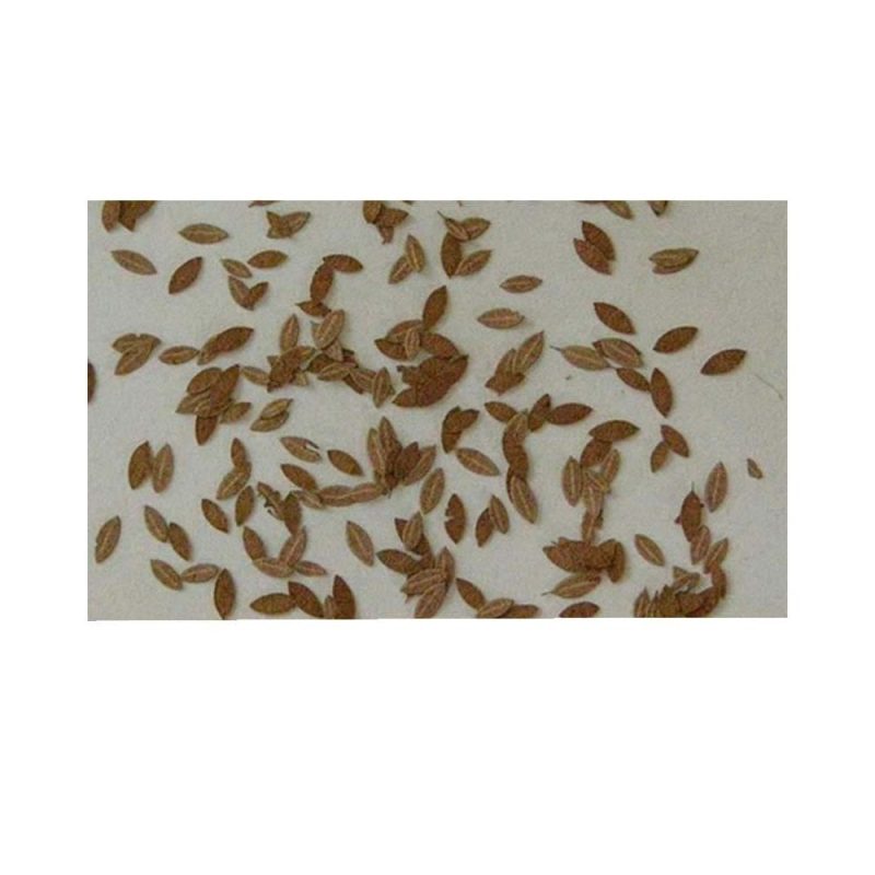 Universal Extra Colours Autumn (1pc) Model Scene L3-105