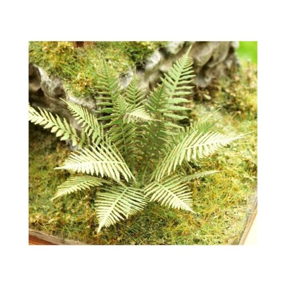 Fern (1pc) Model Scene VG3-001 Fern (1pc) Model Scene VG3-001