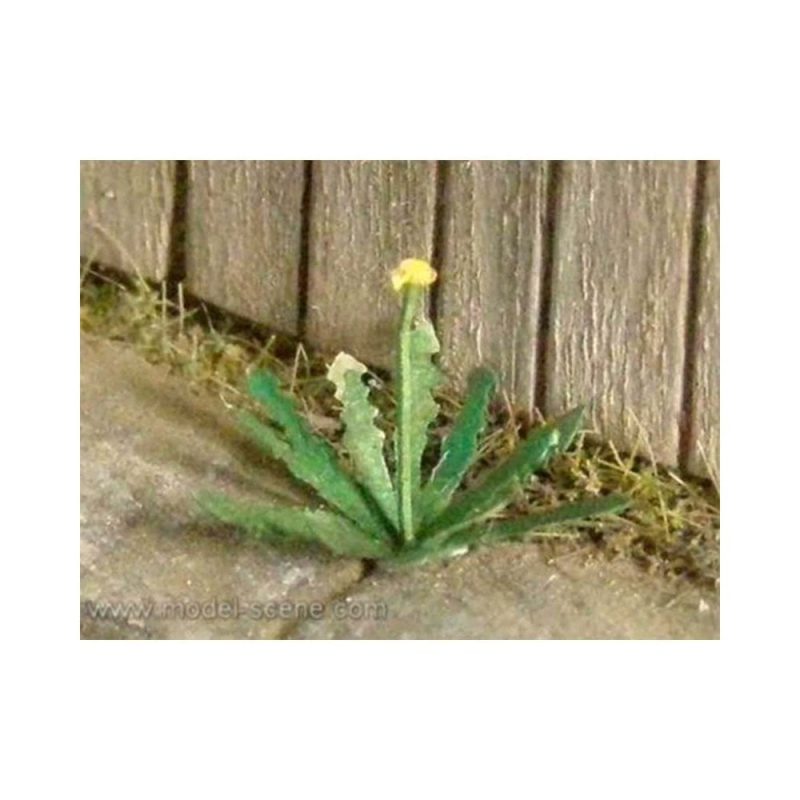 Dandelion (1pc) Model Scene VG3-005
