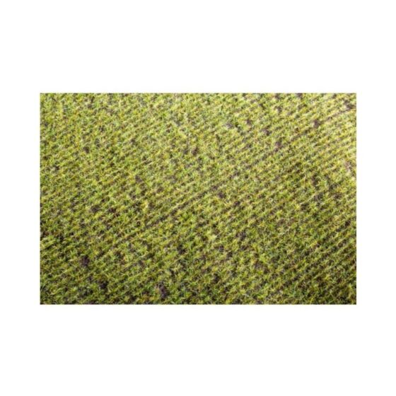 Argo Line - Spring Field Mat 18X28cm Model Scene F401 Argo Line - Spring Field Mat 18X28cm Model Scene F401