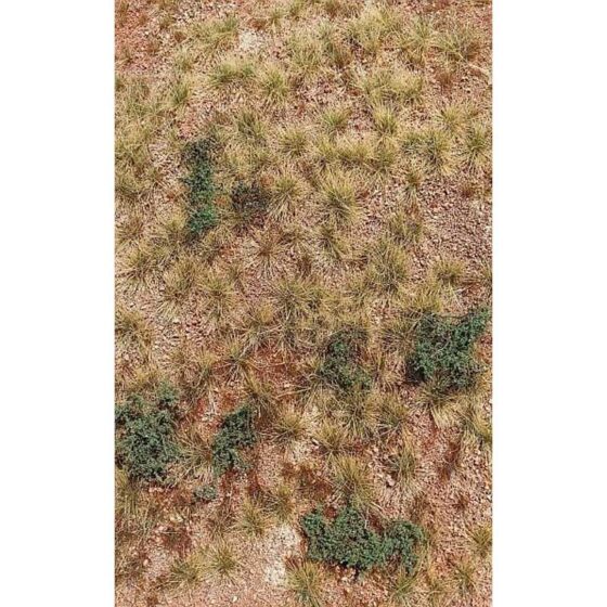 San Pedro Desert F340 Model Scene