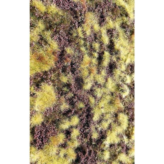 Dry Heathland F640 Model Scene