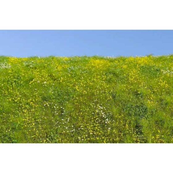 13x17cm Blooming Meadow - Spring Model Scene F561-S 13x17cm Blooming Meadow - Spring Model Scene F561-S
