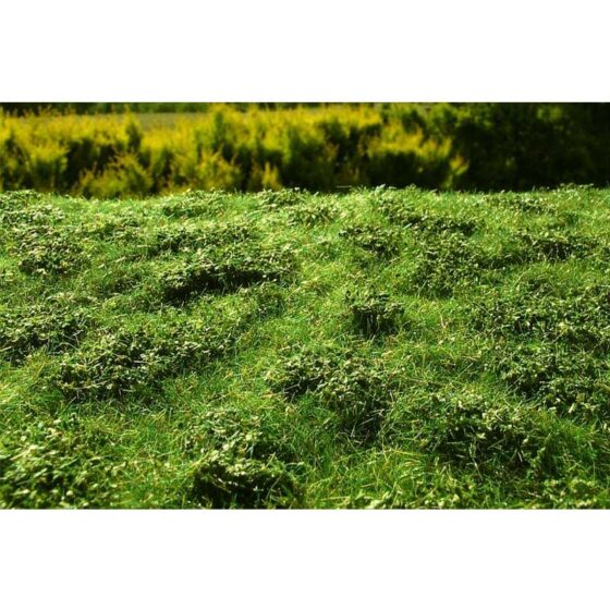 Grass Mat Premium - Low Bushes - Early Summer Mat 18X28cm Model Scene F502