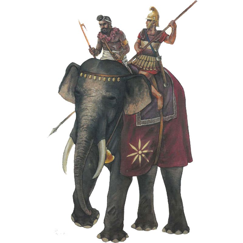 Hat Industrie Macedonian Elephant (1/72) 8141