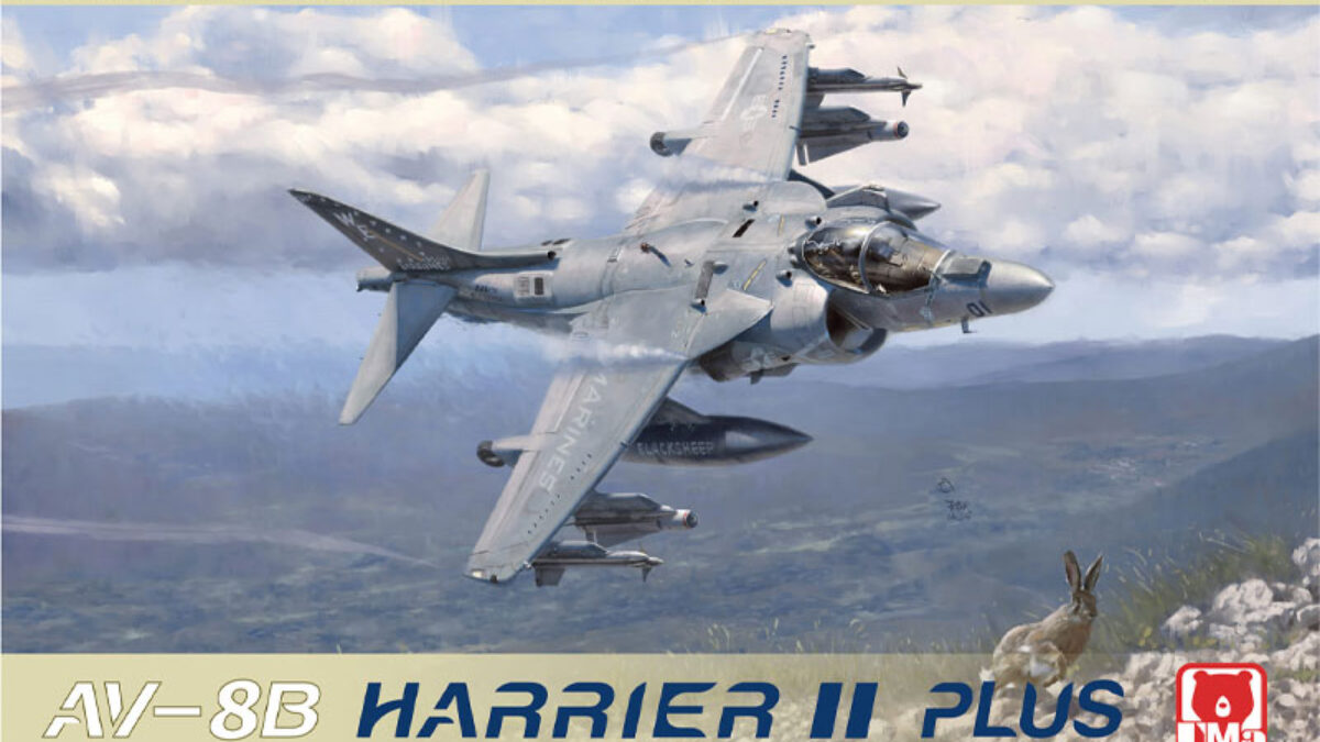 Uma AV-8B Harrier II Plus 1/48 D1001 – Detailed Model Kit