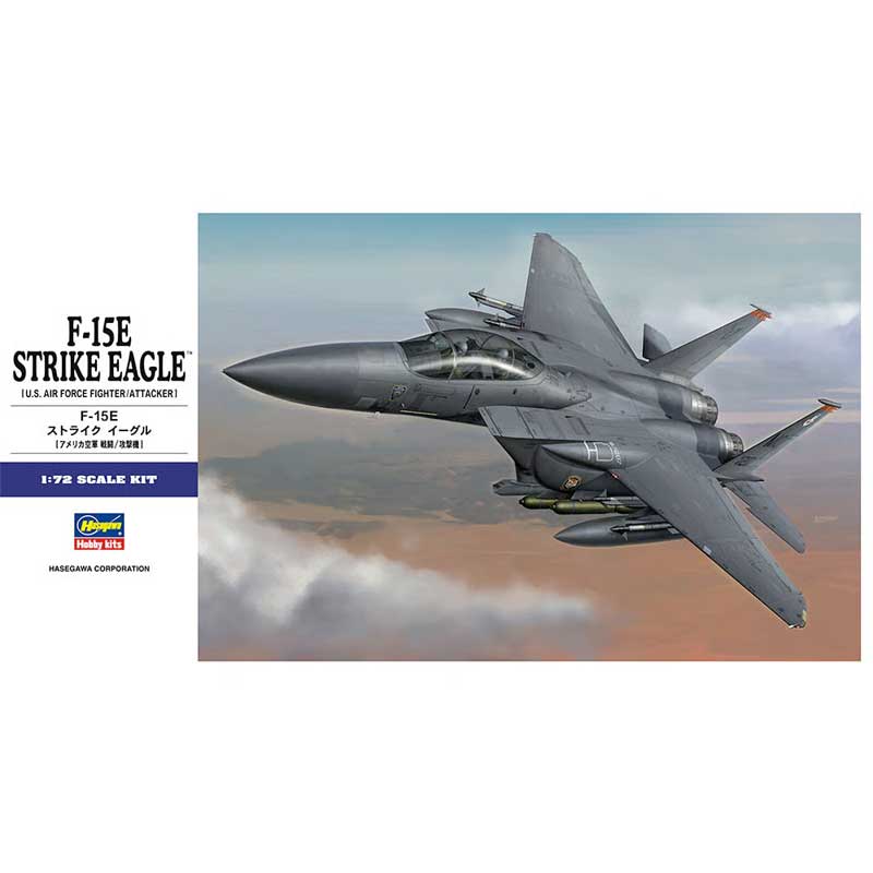 Hasegawa F-15E Strike Eagle U.S. Air Force (1/72) E39
