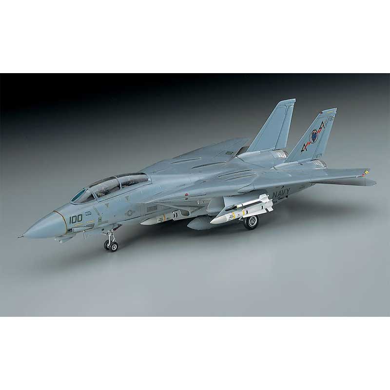 Alternative view of Hasegawa F-14A Tomcat Low Visibility (1/72) HAE02