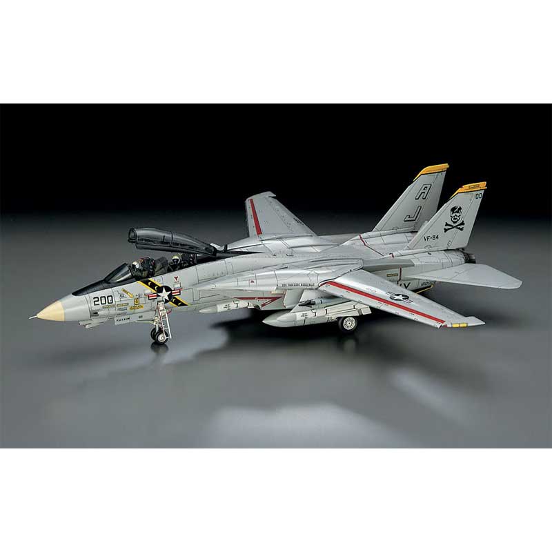Alternative view of Hasegawa F-14A Tomcat Atlantic Fleet US Navy (1/72) HAE14