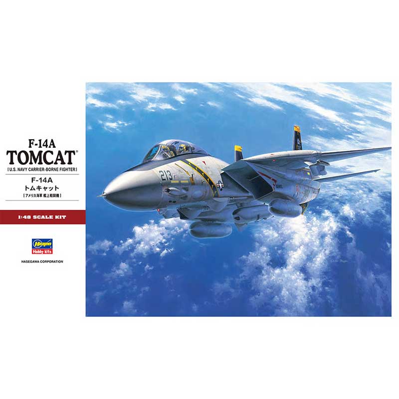 Hasegawa F-14A Tomcat (1/72) HAPT46