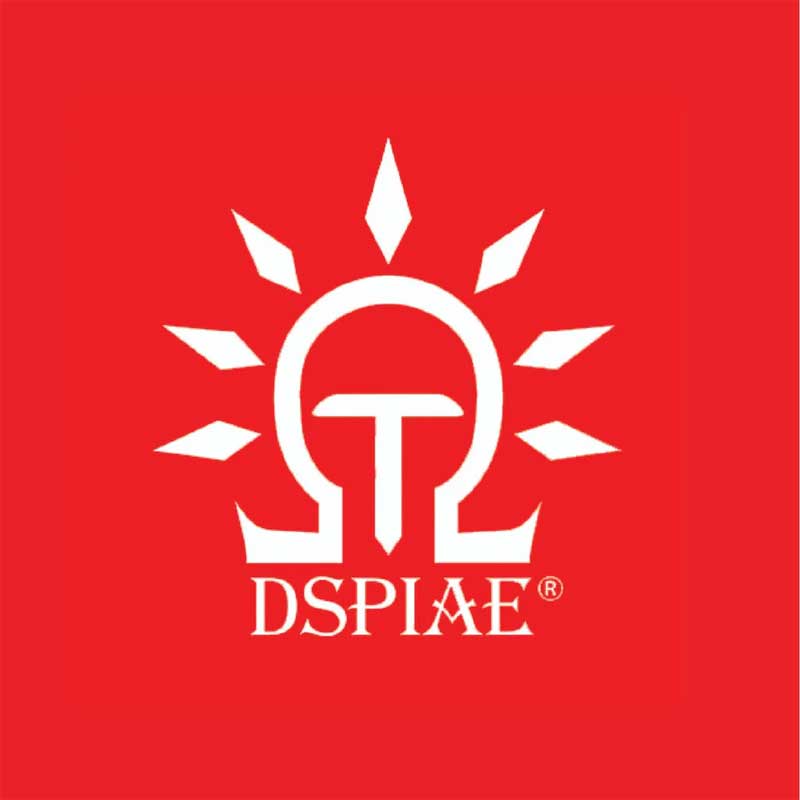 DSPIAE Screwdriver Bits Set SD-S01