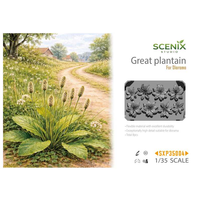 Alternative view of BSK Model Great Plantain (1/35) SXP35004