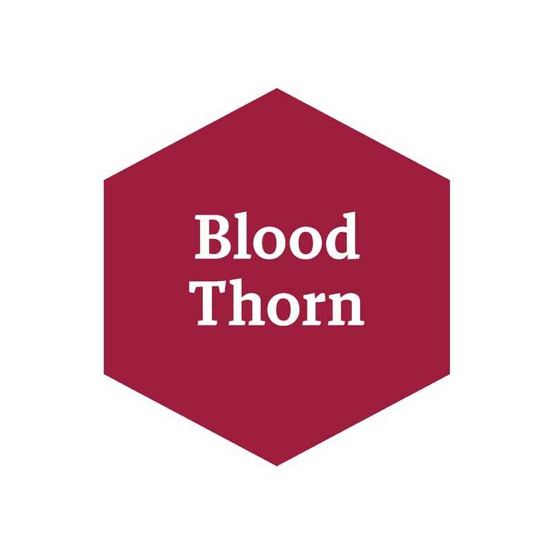 Alternative view of The Army Painter Blood Thorn (John Blanche) WP4117P