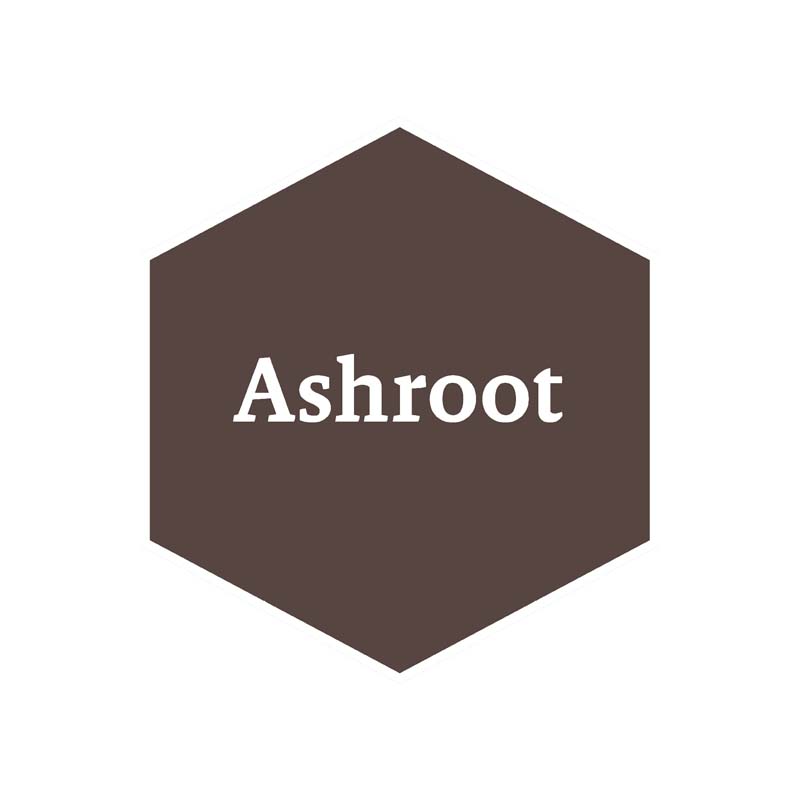 Alternative view of The Army Painter Ashroot (John Blanche) WP4106P