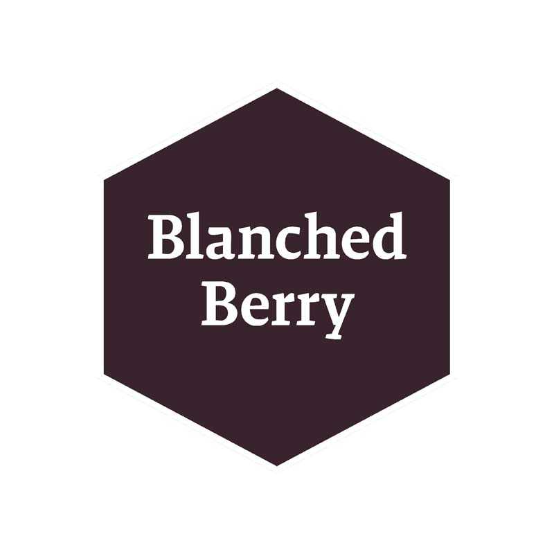 Alternative view of The Army Painter Blanched Berry (John Blanche) WP4014P