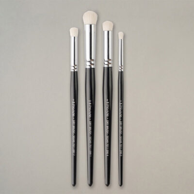 ProArte Dry Brush Set