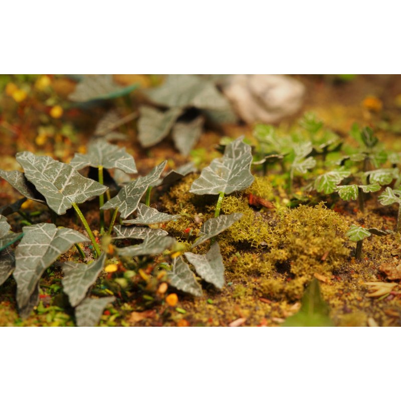 Matho Models Plants & Weeds E 1/35 35039 additional image 6